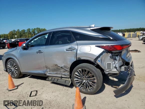 ✅ 2023 Lexus RX 350 Premium Plus • VIN: JTJCHMAA1P2011170 • Lot: 91396055. Listed on Copart with 22,568 mi. Free auction sales archive from the USA and detailed vehicle history report at DreamBid. Image 2.