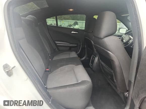 2016 Dodge Charger SE с VIN 2C3CDXBG8GH103682, выставлен на аукционе Copart как лот 89450085 с пробегом 112 968 миль миль и Списание • Salvage title. История ставок и продаж доступна на DreamBid. Изображение 10.