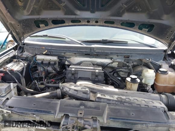 ✅ 2008 Ford F-150 XLT • VIN: 1FTPW14V88KC56279 • Lot: 42459005. Wystawiony na IAAI z przebiegiem 131 287 mil. Bezpłatny archiwum sprzedaży aukcyjnych z USA i szczegółowy raport historii pojazdu na DreamBid. Zdjęcie 10.