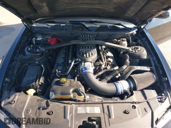 ✅ 2013 Ford Mustang GT Premium • VIN: 1ZVBP8CF1D5255006 • Lot: 43548689. Listed on IAAI with 73,340 mi. Free auction sales archive from the USA and detailed vehicle history report at DreamBid. Image 10.