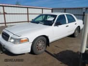 ✅ 2009 Ford Police Interceptor • VIN: 2FAHP71V29X117956 • Lot: 42468064. Listed on IAAI with Not provided. Free auction sales archive from the USA and detailed vehicle history report at DreamBid. Image 2.