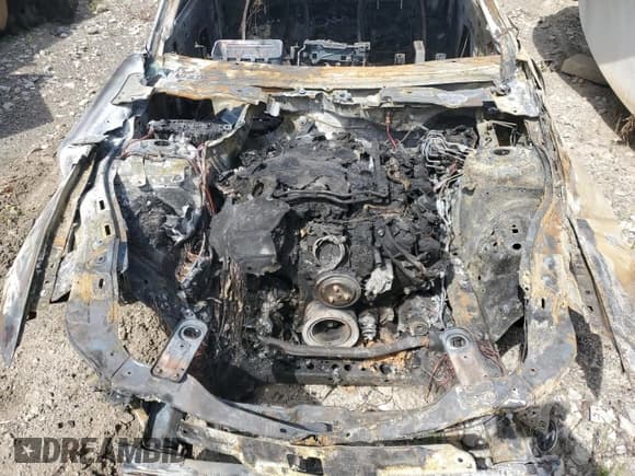 ✅ 2024 Ford Mustang GT • VIN: 1FA6P8CF2R5403066 • Лот: 70528155. Опубликован ранее на Copart с пробегом Не указан. Бесплатный доступ к архиву аукционных продаж из США и подробный отчёт об истории автомобиля на DreamBid. Изображение 11.