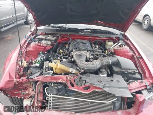 ✅ 2006 Ford Mustang GT Deluxe • VIN: 1ZVHT85H365242880 • Lot: 43632803. Listed on IAAI with Not provided. Free auction sales archive from the USA and detailed vehicle history report at DreamBid. Image 10.