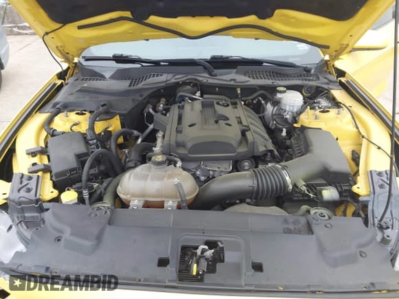 ✅ 2018 Ford Mustang EcoBoost • VIN: 1FA6P8TH0J5177521 • Lot: 43733515. Wystawiony na IAAI z przebiegiem 116 575 mil. Bezpłatny archiwum sprzedaży aukcyjnych z USA i szczegółowy raport historii pojazdu na DreamBid. Zdjęcie 10.