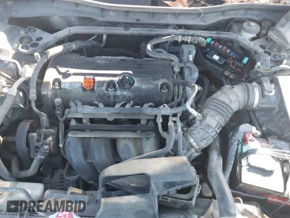 ✅ 2010 Honda Accord EX • VIN: 1HGCP2E71AA085101 • Lot: 41349951. Listed on IAAI with 187,219 mi. Free auction sales archive from the USA and detailed vehicle history report at DreamBid. Image 10.