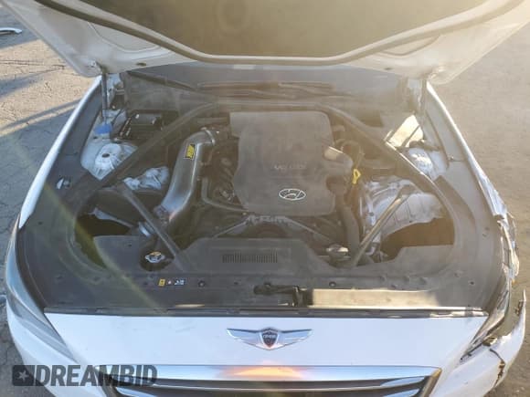 ✅ 2015 Hyundai Genesis 3.8L • VIN: KMHGN4JE6FU084372 • Lot: 88497885. Wystawiony na Copart z przebiegiem 124 458 mil. Bezpłatny archiwum sprzedaży aukcyjnych z USA i szczegółowy raport historii pojazdu na DreamBid. Zdjęcie 13.