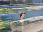 ✅ 2005 Chevrolet Silverado 1500 Work Truck • VIN: 1GCEC14X75Z145436 • Лот: 42414088. Опубликован ранее на IAAI с пробегом 181 641 миль. Бесплатный доступ к архиву аукционных продаж из США и подробный отчёт об истории автомобиля на DreamBid. Изображение 12.