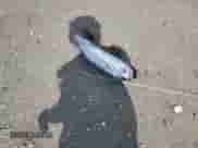 2019 Chevrolet Malibu Premier with VIN 1G1ZE5SX4KF222193, listed as a Copart auction lot 62448535 with 69,858 mi miles and Non repairable. Bid and sale history available at DreamBid. Image 12.