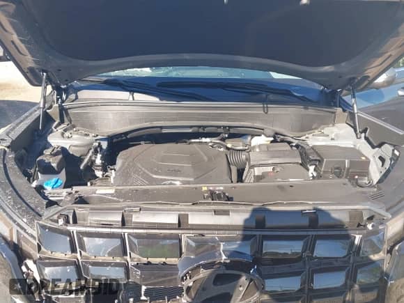 2025 Hyundai Palisade XRT z VIN KM8R34GE0SU945657, wystawiony jako IAAI lot #43298136 z przebiegiem 1 334 mil mil oraz . Historia ofert i sprzedaży dostępna na DreamBid. Obrazek 10.