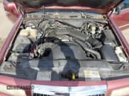 ✅ 1995 Lincoln Town Car Signature • VIN: 1LNLM82W1SY643247 • Lot: 43625347. Listed on IAAI with 169,827 mi. Free auction sales archive from the USA and detailed vehicle history report at DreamBid. Image 10.