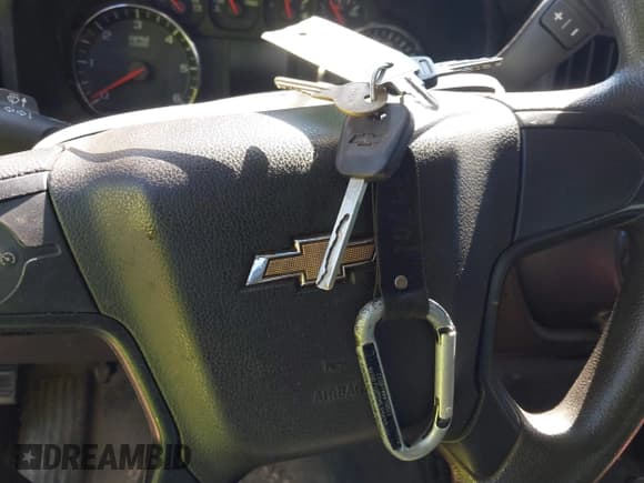 ✅ 2017 Chevrolet Silverado 3500HD • VIN: 1GB2CYEG6HZ241318 • Lot: 42146288. Listed on IAAI with 290,220 mi. Free auction sales archive from the USA and detailed vehicle history report at DreamBid. Image 11.