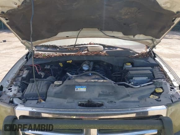 ✅ 2008 Dodge Durango • VIN: 1D8HB38N58F155975 • Лот: 42302700. Опубликован ранее на IAAI с пробегом 182 102 миль. Бесплатный доступ к архиву аукционных продаж из США и подробный отчёт об истории автомобиля на DreamBid. Изображение 10.