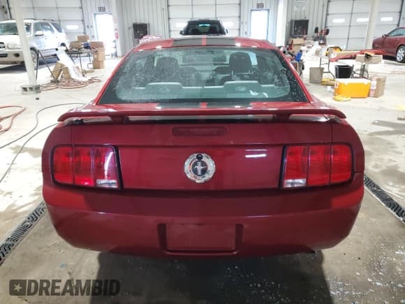 ✅ 2005 Ford Mustang Deluxe • VIN: 1ZVFT80N055117399 • Лот: 82989924. Опубликован ранее на Copart с пробегом 116 442 миль. Бесплатный доступ к архиву аукционных продаж из США и подробный отчёт об истории автомобиля на DreamBid. Изображение 6.