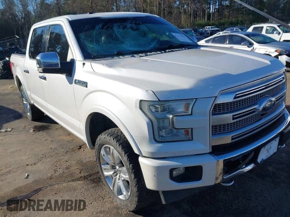 ✅ 2017 Ford F-150 XL • VIN: 1FTEW1EF5HFA07428 • Lot: 41334443. Listed on IAAI with 178,545 mi. Free auction sales archive from the USA and detailed vehicle history report at DreamBid. Image 6.
