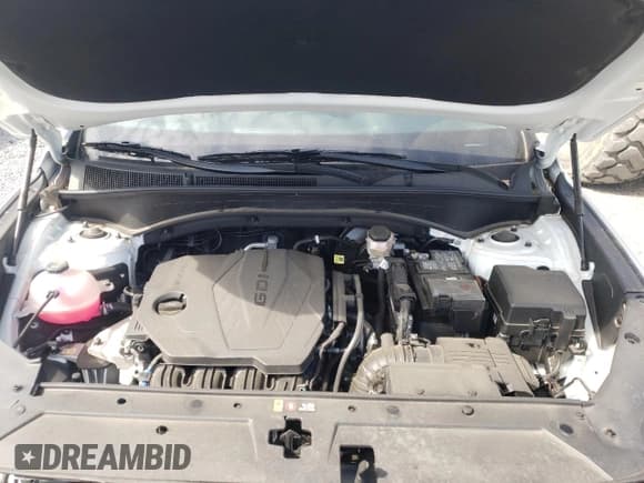 ✅ 2021 Hyundai Santa Fe SEL • VIN: 5NMS24AJ7MH357618 • Lot: 48871923. Wystawiony na Copart z przebiegiem 14 232 mil. Bezpłatny archiwum sprzedaży aukcyjnych z USA i szczegółowy raport historii pojazdu na DreamBid. Zdjęcie 11.