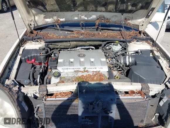 ✅ 2000 Cadillac DeVille • VIN: 1G6KD54YXYU183408 • Lot: 42723067. Listed on IAAI with 93,518 mi. Free auction sales archive from the USA and detailed vehicle history report at DreamBid. Image 10.