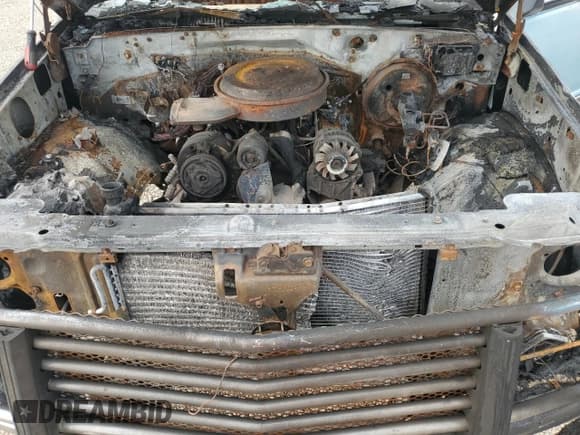 ✅ 1991 GMC Sierra 1500 • VIN: 2GTEC19K3M1525605 • Лот: 69089645. Опубликован ранее на Copart с пробегом Не указан. Бесплатный доступ к архиву аукционных продаж из США и подробный отчёт об истории автомобиля на DreamBid. Изображение 11.