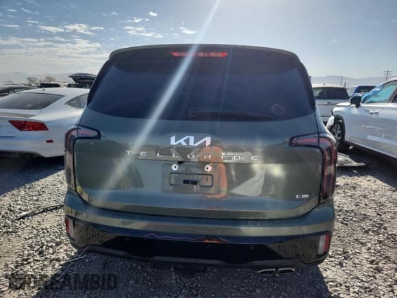 ✅ 2024 Kia Telluride SX X-Pro • VIN: 5XYP5DGC1RG554680 • Lot: 66643845. Wystawiony na Copart z przebiegiem 10 143 mil. Bezpłatny archiwum sprzedaży aukcyjnych z USA i szczegółowy raport historii pojazdu na DreamBid. Zdjęcie 6.