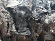 ✅ 2012 Buick Enclave Leather • VIN: 5GAKVCED3CJ146478 • Lot: 67981365. Wystawiony na Copart z przebiegiem Nie podano. Bezpłatny archiwum sprzedaży aukcyjnych z USA i szczegółowy raport historii pojazdu na DreamBid. Zdjęcie 9.