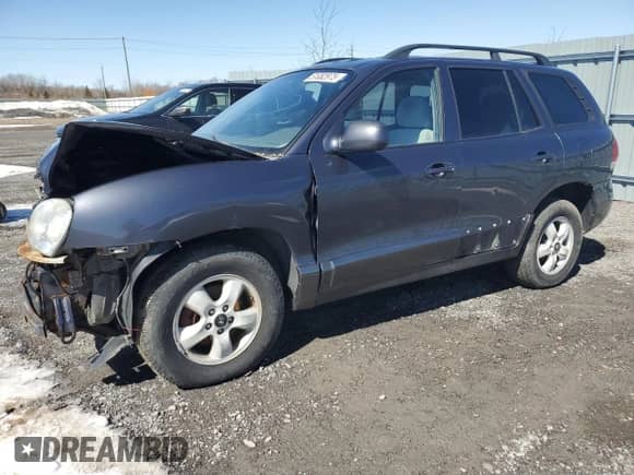 2005 Hyundai Santa Fe с VIN KM8SB13D95U021903, выставлен на аукционе Copart как лот 51082975 с пробегом 313 058 миль миль и Списание • Salvage title. История ставок и продаж доступна на DreamBid. Изображение 1.