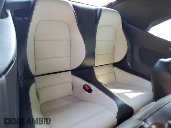 ✅ 2019 Ford Mustang GT Premium • VIN: 1FATP8FF3K5204869 • Lot: 69655355. Wystawiony na Copart z przebiegiem 85 642 mil. Bezpłatny archiwum sprzedaży aukcyjnych z USA i szczegółowy raport historii pojazdu na DreamBid. Zdjęcie 10.