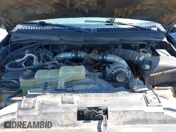 ✅ 1999 Ford F-250 XL • VIN: 1FTNF21F0XEB03449 • Lot: 42862867. Listed on IAAI with 162,180 mi. Free auction sales archive from the USA and detailed vehicle history report at DreamBid. Image 10.