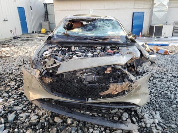 ✅ 2024 Mazda 3 Carbon Edition • VIN: JM1BPBYY4R1704400 • Lot: 88689475. Wystawiony na Copart z przebiegiem Nie podano. Bezpłatny archiwum sprzedaży aukcyjnych z USA i szczegółowy raport historii pojazdu na DreamBid. Zdjęcie 5.