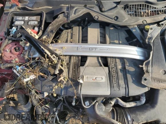 ✅ 2019 Ford Mustang GT Premium • VIN: 1FA6P8CF5K5166787 • Lot: 81135285. Listed on Copart with Not provided. Free auction sales archive from the USA and detailed vehicle history report at DreamBid. Image 11.