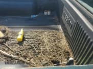 ✅ 2001 Nissan Frontier XE • VIN: 1N6DD21S41C308562 • Lot: 62210115. Listed on Copart with 216,464 mi. Free auction sales archive from the USA and detailed vehicle history report at DreamBid. Image 10.