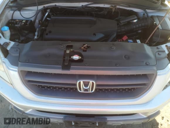 ✅ 2004 Honda Pilot EX • VIN: 2HKYF18524H540921 • Lot: 85381755. Listed on Copart with 39,341 mi. Free auction sales archive from the USA and detailed vehicle history report at DreamBid. Image 12.