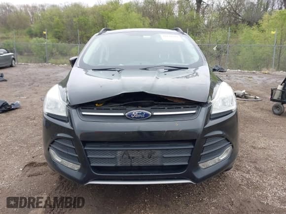 ✅ 2014 Ford Escape SE • VIN: 1FMCU0GX4EUA35916 • Lot: 42176502. Wystawiony na IAAI z przebiegiem 161 465 mil. Bezpłatny archiwum sprzedaży aukcyjnych z USA i szczegółowy raport historii pojazdu na DreamBid. Zdjęcie 13.