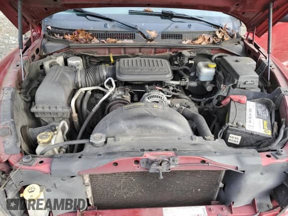 2008 Dodge Dakota Bighorn/Lonestar with VIN 1D7HE32K98S505285, listed as a Copart auction lot 41872345 with 205,654 mi miles and Salvage title. Bid and sale history available at DreamBid. Image 11.