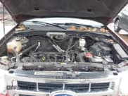 ✅ 2010 Ford Escape XLT • VIN: 1FMCU9D77AKC04034 • Лот: 43503317. Опубликован ранее на IAAI с пробегом Не указан. Бесплатный доступ к архиву аукционных продаж из США и подробный отчёт об истории автомобиля на DreamBid. Изображение 10.