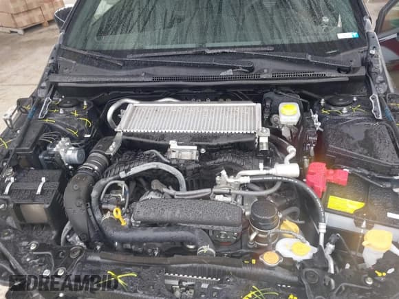 ✅ 2022 Subaru WRX GT • VIN: JF1VBAU6XN8024213 • Lot: 41410330. Listed on IAAI with 19,319 mi. Free auction sales archive from the USA and detailed vehicle history report at DreamBid. Image 10.