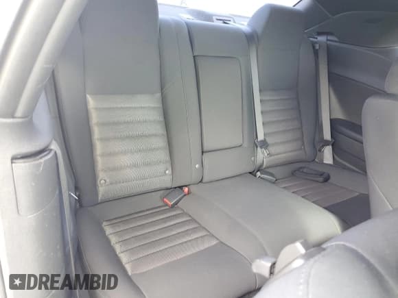 ✅ 2010 Dodge Challenger SE • VIN: 2B3CJ4DVXAH322540 • Lot: 48812875. Wystawiony na Copart z przebiegiem 164 208 mil. Bezpłatny archiwum sprzedaży aukcyjnych z USA i szczegółowy raport historii pojazdu na DreamBid. Zdjęcie 10.