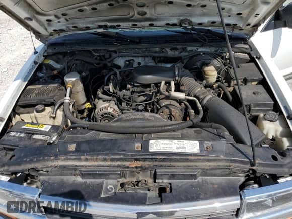 1999 Chevrolet Blazer LS with VIN 1GNDT13WXX2150024, listed as a Copart auction lot 71781074 with 271,768 mi miles and Salvage title. Bid and sale history available at DreamBid. Image 12.