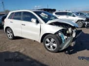 ✅ 2009 Acura RDX Technology • VIN: 5J8TB18549A008060 • Lot: 43676945. Listed on IAAI with 104,922 mi. Free auction sales archive from the USA and detailed vehicle history report at DreamBid. Image 1.