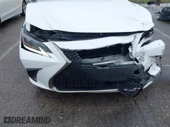 ✅ 2019 Lexus ES 350 Luxury • VIN: 58ABZ1B12KU048500 • Lot: 43540393. Wystawiony na IAAI z przebiegiem 64 293 mil. Bezpłatny archiwum sprzedaży aukcyjnych z USA i szczegółowy raport historii pojazdu na DreamBid. Zdjęcie 6.