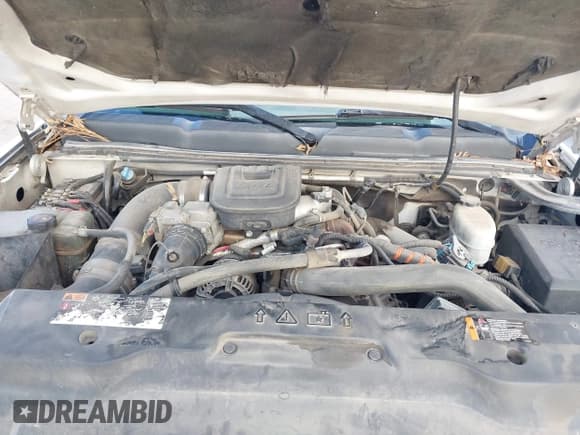 ✅ 2012 Chevrolet Silverado 2500HD LT • VIN: 1GC1KXC88CF116895 • Lot: 43722002. Listed on IAAI with 284,653 mi. Free auction sales archive from the USA and detailed vehicle history report at DreamBid. Image 10.