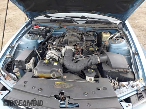 ✅ 2006 Ford Mustang Standard • VIN: 1ZVHT84N765220050 • Lot: 42231993. Listed on IAAI with 123,880 mi. Free auction sales archive from the USA and detailed vehicle history report at DreamBid. Image 10.