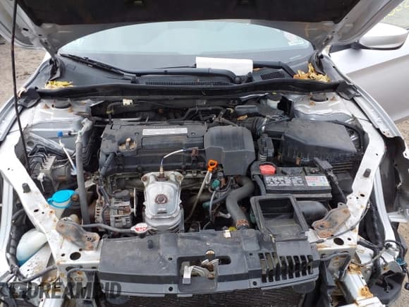 ✅ 2013 Honda Accord LX • VIN: 1HGCR2F37DA129578 • Lot: 43542613. Wystawiony na IAAI z przebiegiem 137 478 mil. Bezpłatny archiwum sprzedaży aukcyjnych z USA i szczegółowy raport historii pojazdu na DreamBid. Zdjęcie 10.