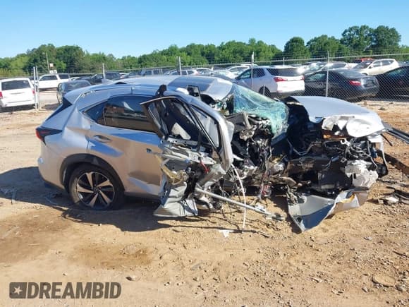 ✅ 2019 Lexus NX 300 • VIN: JTJBARBZXK2192733 • Lot: 42328700. Listed on IAAI with 48,752 mi. Free auction sales archive from the USA and detailed vehicle history report at DreamBid. Image 13.