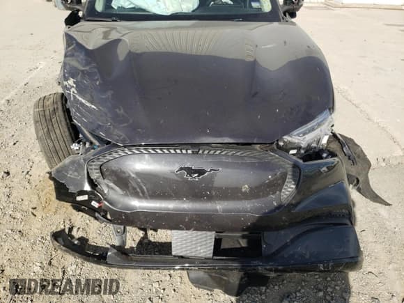 ✅ 2022 Ford Mustang Mach-E California Route 1 • VIN: 3FMTK2R72NMA02626 • Лот: 63863292. Опубликован ранее на Copart с пробегом Не указан. Бесплатный доступ к архиву аукционных продаж из США и подробный отчёт об истории автомобиля на DreamBid. Изображение 7.