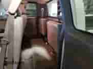 2007 Dodge Dakota ST z VIN 1D7HW22K17S119031, wystawiony jako Copart lot #50786795 z przebiegiem 117 147 mil mil oraz Szkoda całkowita • Salvage title. Historia ofert i sprzedaży dostępna na DreamBid. Obrazek 10.