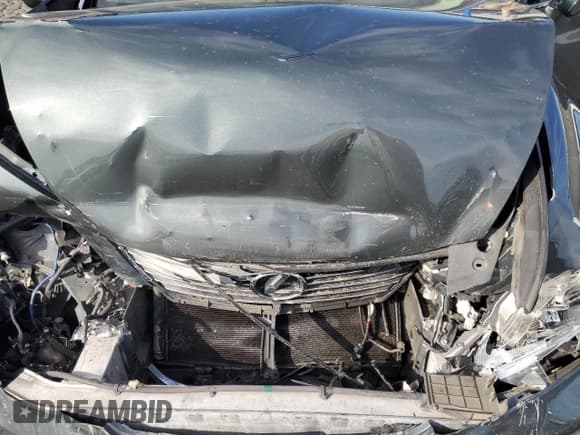 ✅ 2007 Lexus LS 460 L • VIN: JTHGL46F175008855 • Lot: 71084325. Listed on Copart with Not provided. Free auction sales archive from the USA and detailed vehicle history report at DreamBid. Image 11.