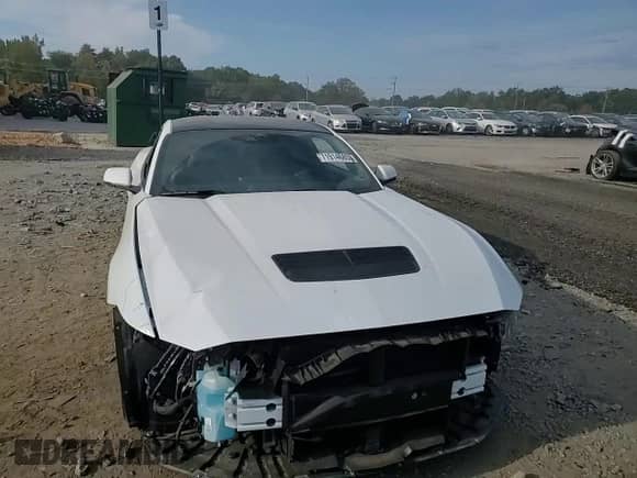 ✅ 2024 Ford Mustang GT • VIN: 1FA6P8CF1R5428380 • Lot: 71914685. Listed on Copart with 4,319 mi. Free auction sales archive from the USA and detailed vehicle history report at DreamBid. Image 13.