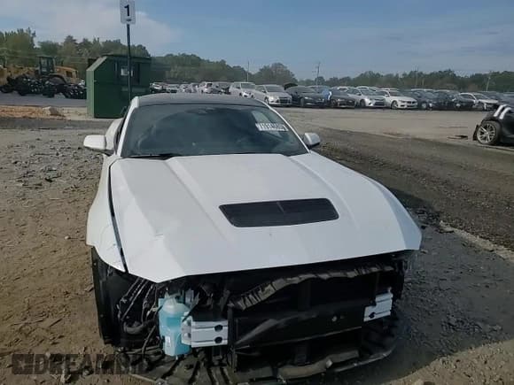 ✅ 2024 Ford Mustang GT • VIN: 1FA6P8CF1R5428380 • Лот: 71914685. Опубликован ранее на Copart с пробегом 4 319 миль. Бесплатный доступ к архиву аукционных продаж из США и подробный отчёт об истории автомобиля на DreamBid. Изображение 13.