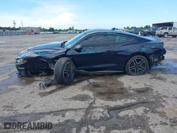✅ 2021 Ford Mustang GT • VIN: 1FA6P8CF1M5148371 • Lot: 42444493. Wystawiony na IAAI z przebiegiem 81 979 mil. Bezpłatny archiwum sprzedaży aukcyjnych z USA i szczegółowy raport historii pojazdu na DreamBid. Zdjęcie 13.