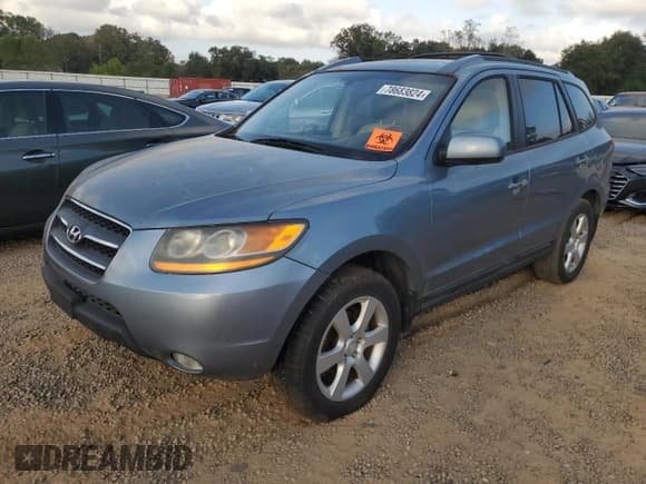 ✅ 2009 Hyundai Santa Fe Limited • VIN: 5NMSH13E99H316461 • Lot: 78683824. Listed on Copart with 149,241 mi. Free auction sales archive from the USA and detailed vehicle history report at DreamBid. Image 1.