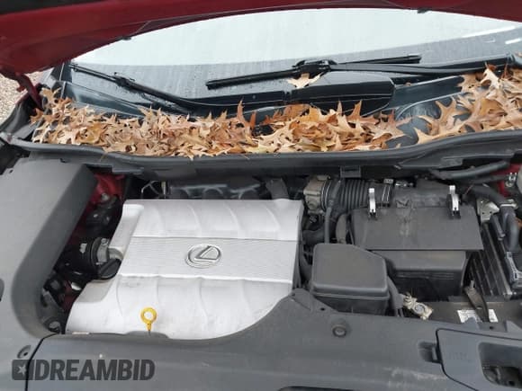 ✅ 2011 Lexus RX 350 • VIN: 2T2ZK1BA4BC057156 • Lot: 43878236. Wystawiony na IAAI z przebiegiem 173 632 mil. Bezpłatny archiwum sprzedaży aukcyjnych z USA i szczegółowy raport historii pojazdu na DreamBid. Zdjęcie 10.